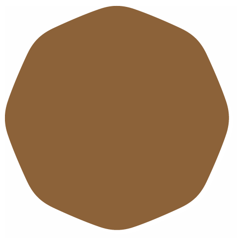 Ocotogone